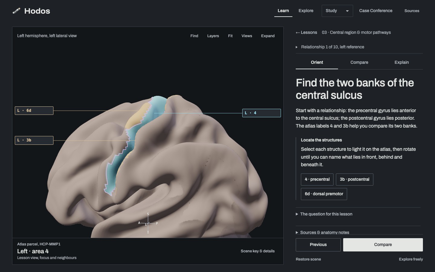The central region lesson in the atlas: areas 4, 3b and 6d lit on the left hemisphere, the Orient step with its three targets, and the lesson question beside the anatomy.