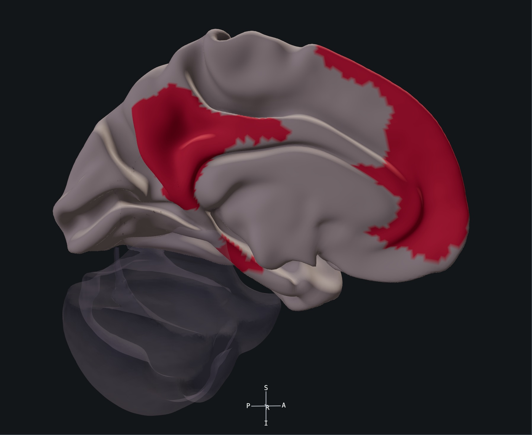Left medial atlas surface with separated default mode network territories shown in the red Yeo-7 group label.